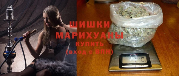 ГАЛЛЮЦИНОГЕННЫЕ ГРИБЫ Туринск