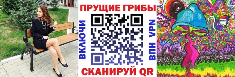 Галлюциногенные грибы Psilocybine cubensis  Петровск 