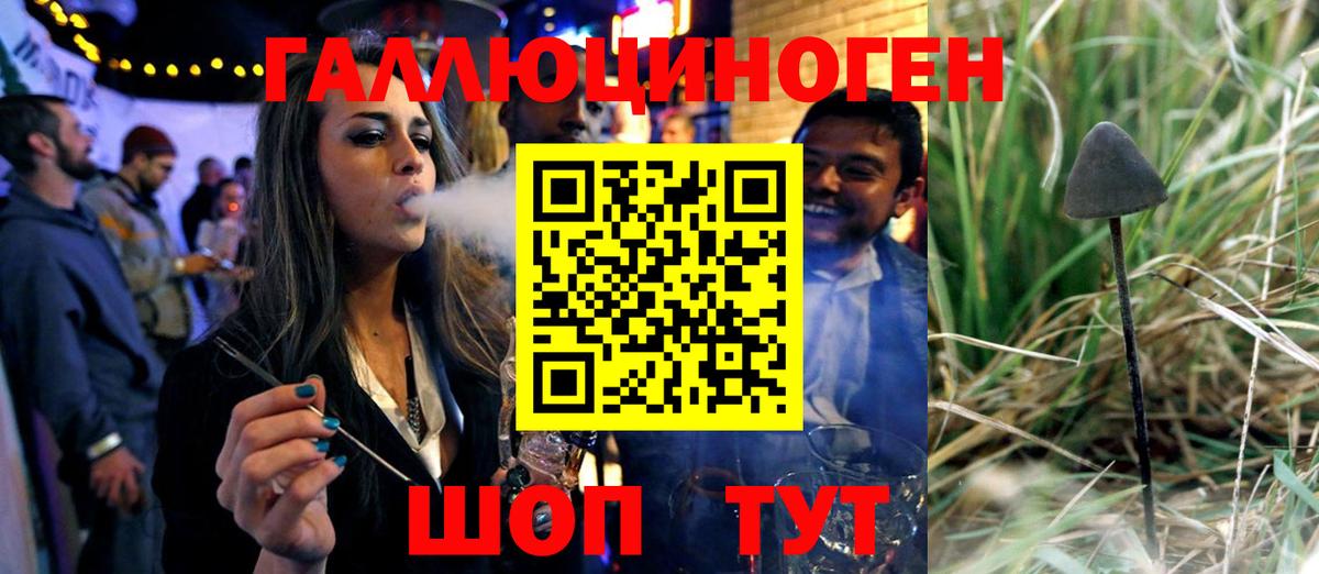 Галлюциногенные грибы Cubensis  Вход с VPN  Петровск  цена   Галлюциногенные грибы прущие грибы 