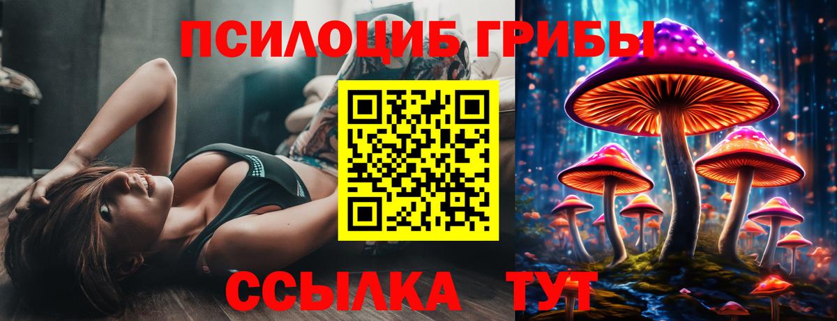 Галлюциногенные грибы ЛСД  Петровск  Галлюциногенные грибы мухоморы 